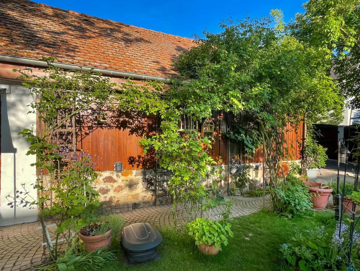 Ferienhaus Burgblick Munzenberg ภายนอก รูปภาพ