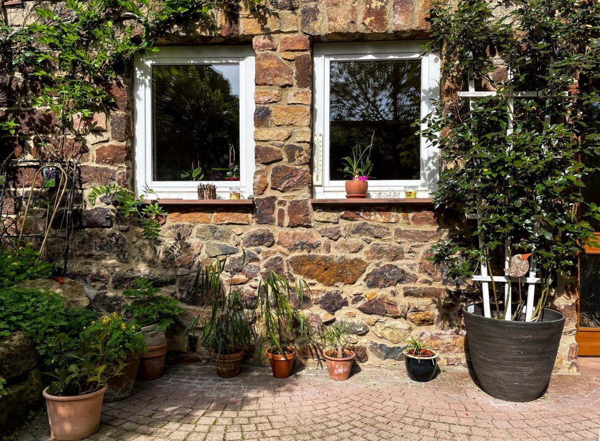Ferienhaus Burgblick Munzenberg ภายนอก รูปภาพ